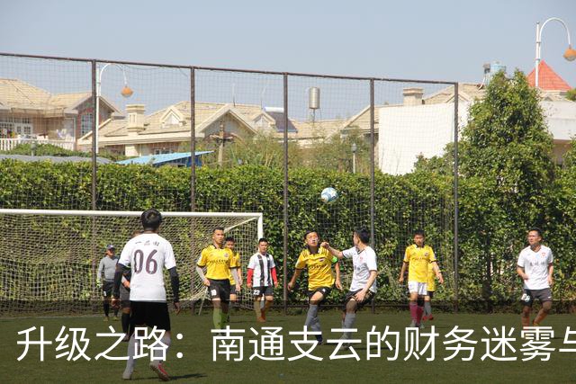 升级之路：南通支云的财务迷雾与幸存者智慧