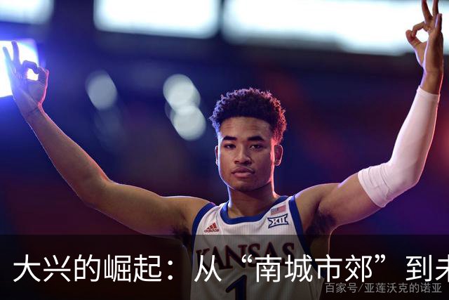 大兴的崛起：从“南城市郊”到未来的新兴中心