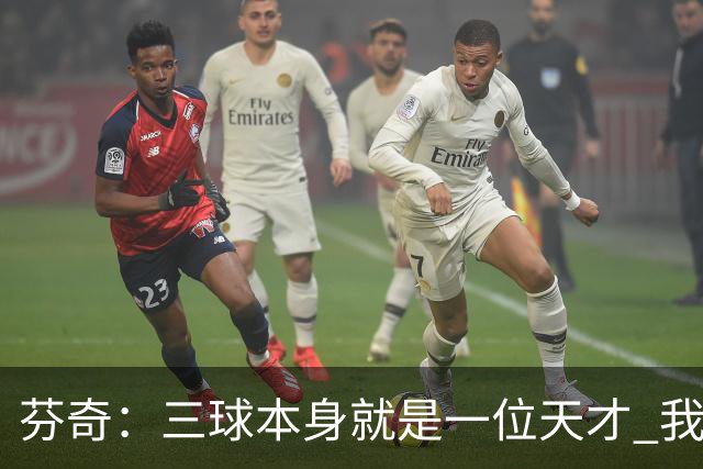 芬奇：三球本身就是一位天才 我们需要一名组织核心